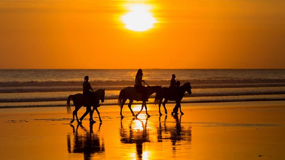 Oualie Beach Resort Nevis Dış mekan fotoğraf